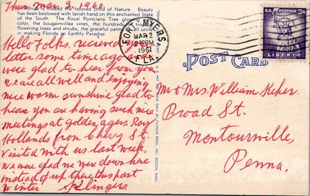 Royal Poinciana Tree in Florida Linen Postcard Fort Meyers PM 1961