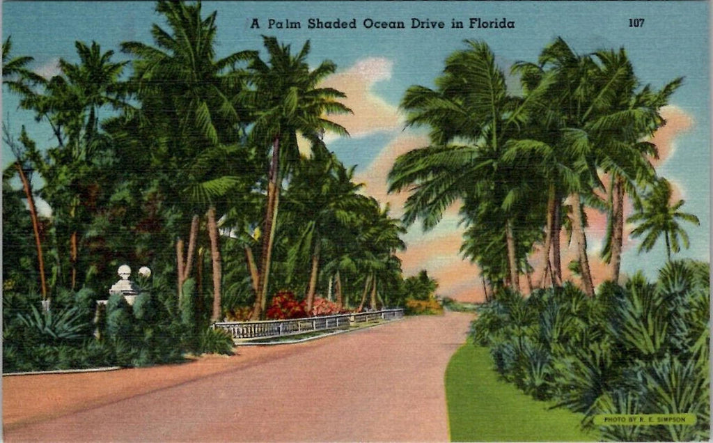 Postcard A Palm Shaded Ocean Drive in Florida 107 UNP Linen Tichnor