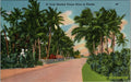 Postcard A Palm Shaded Ocean Drive in Florida 107 UNP Linen Tichnor