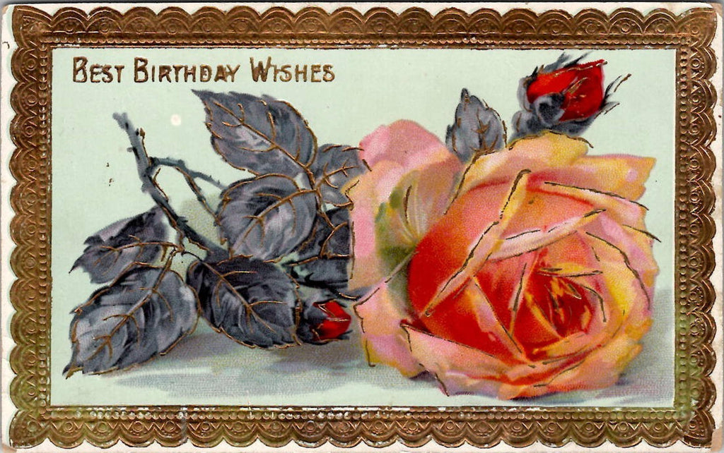 Postcard Best Birthday Wishes Rose Gold Filagree Embossed Border