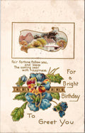 Postcard For A Bright Birthday To Greet You 1911 Fair Fortune