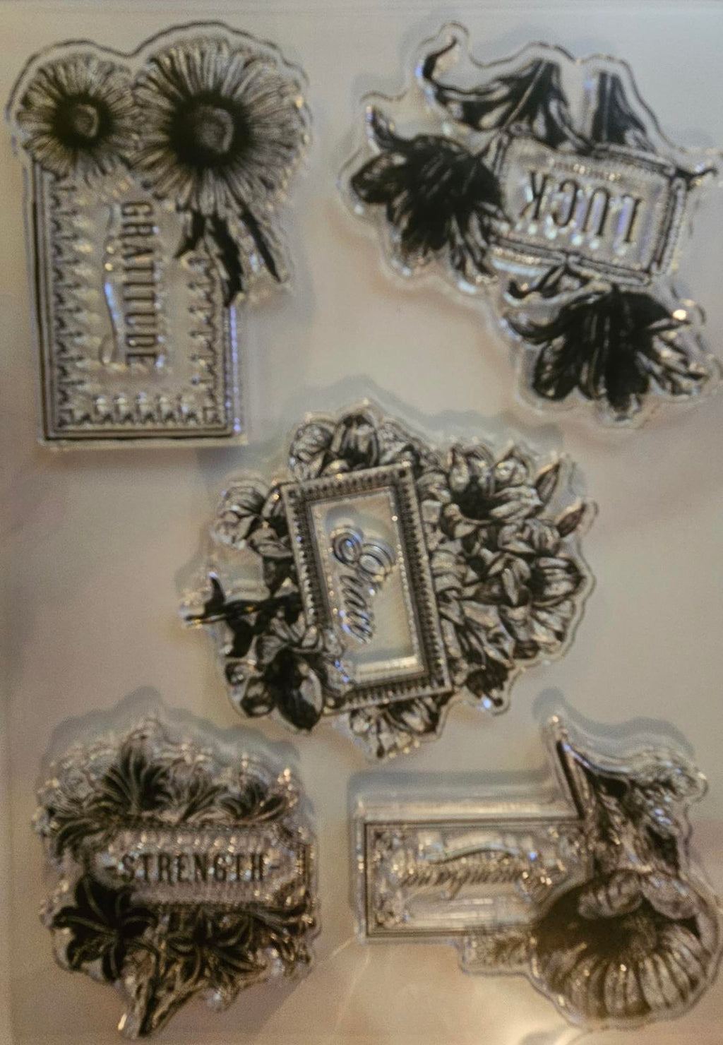 AG1735 2024 Anna Griffin Flower Language Stamps & Dies Set Emboss NIP