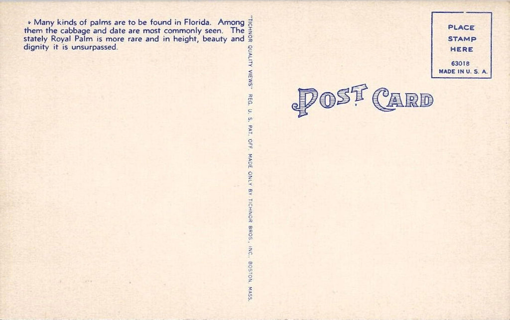 Postcard A Palm Shaded Ocean Drive in Florida 107 UNP Linen Tichnor