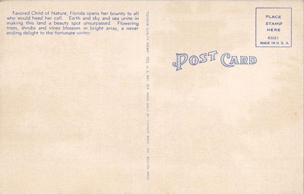 Postcard Florida Abounds with Numerous Tropical Trees Plants Flowering Shrubs UN