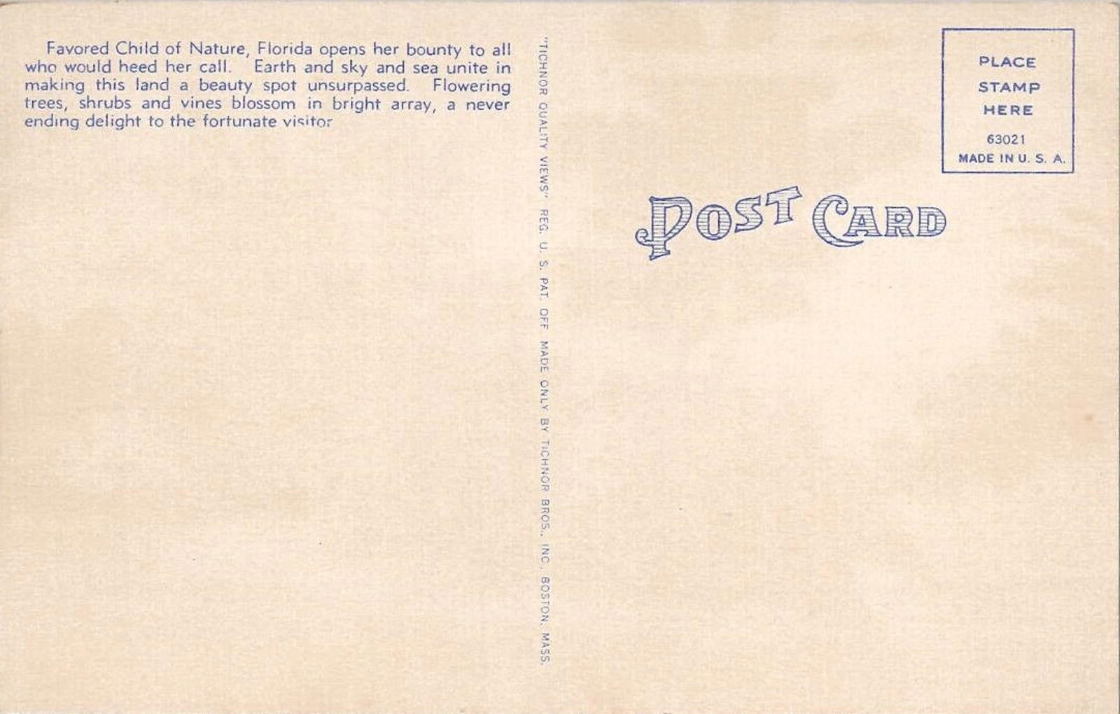 Postcard Florida Abounds with Numerous Tropical Trees Plants Flowering Shrubs UN
