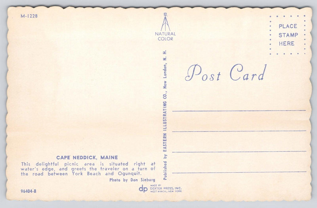 Postcard Cape Neddick Maine Picnic Area Dexter Press Eastern Illustrating Co UNP