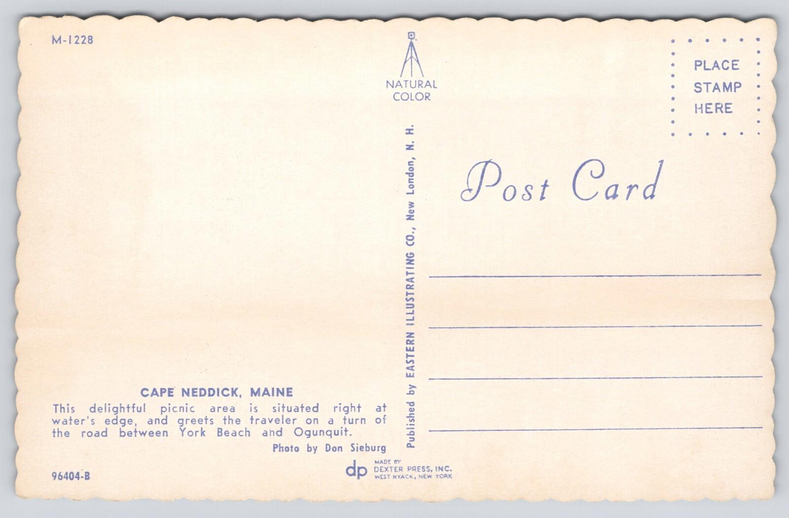 Postcard Cape Neddick Maine Picnic Area Dexter Press Eastern Illustrating Co UNP