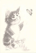 Postcard Drawn Kitten & Butterfly Art Reprint Ann Adams Polio Patient Signed