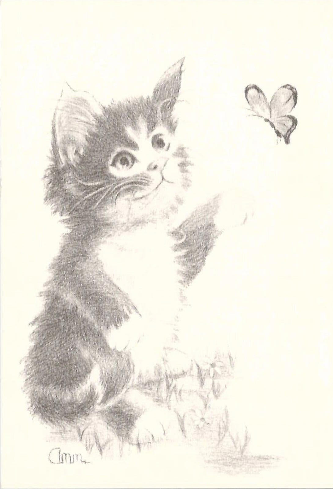 Postcard Drawn Kitten & Butterfly Art Reprint Ann Adams Polio Patient Signed