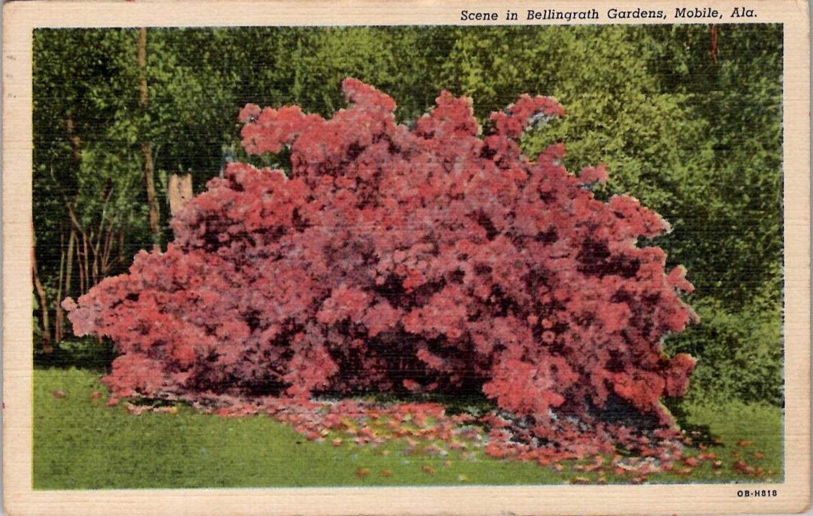 Postcard Scene in Bellingrath Gardens Mobile Ala CurtTeich PM Patterson 1942