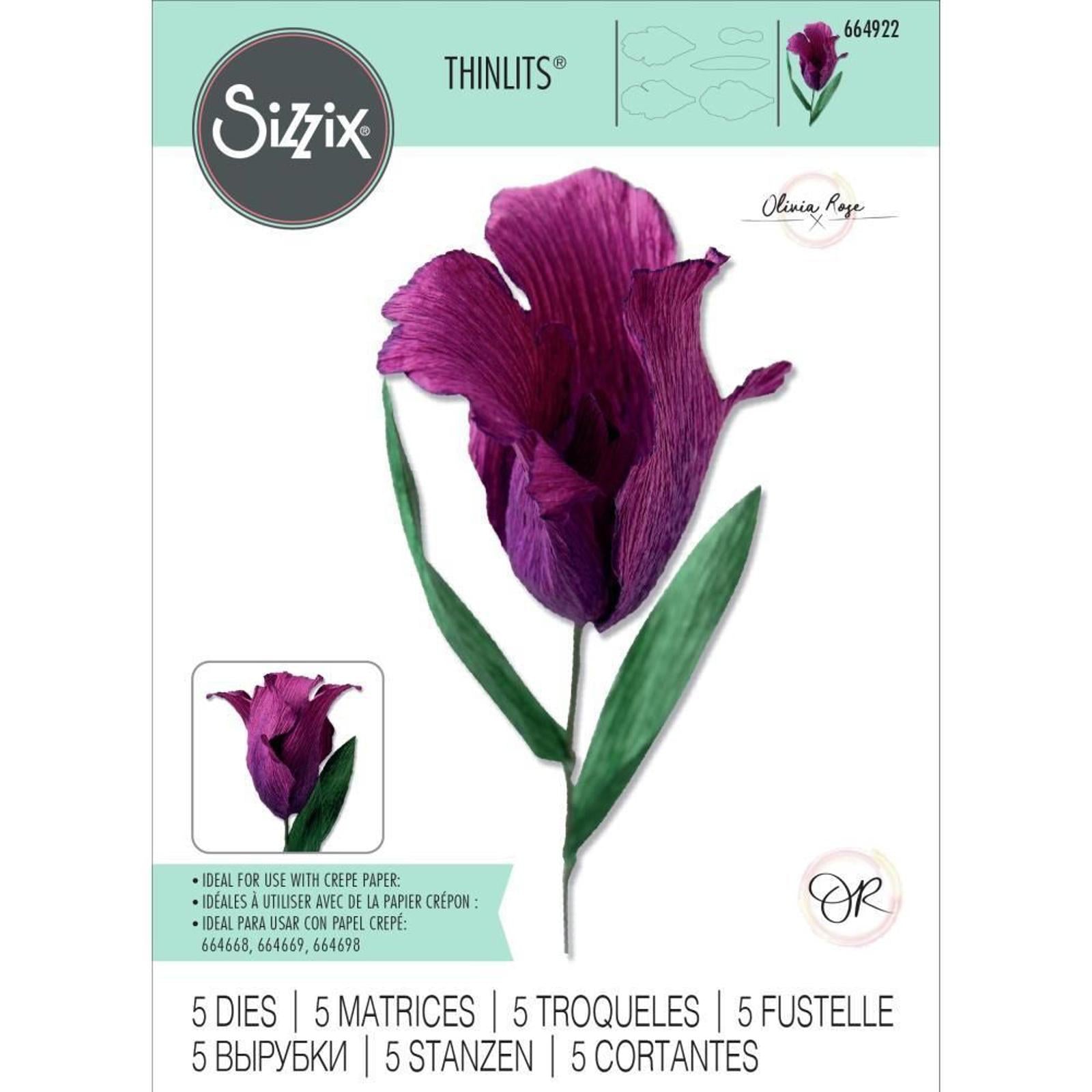 664922 Sizzix Thinlits Dies by Olivia Rose 5 Dies Fringed Tulip