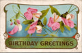 Postcard Birthday Greetings Pink White Flora Ser 20 PM Logansport Ind Mar 4 1910