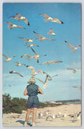 Postcard Gull Holiday P35614 Colourpicture Publishers Inc Boston Mass UNP