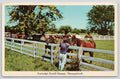 Postcard Kentucky's World Famous Thoroughbreds Blue Grass Horse Farm 1972