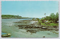 Postcard Cape Neddick Maine Picnic Area Dexter Press Eastern Illustrating Co UNP