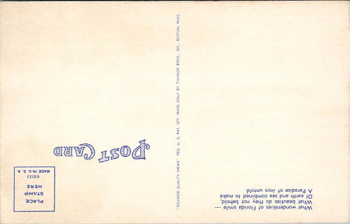 Florida Sunrise Linen Postcard Woderskies Florida 1960s Tichnor Views UNP