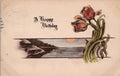 Postcard A Happy Birthday Greetings Flowers Shinn Moonlight 1909 E B Scofield