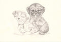 Postcard Drawn Two Puppies Art Reprint Ann Adams Polio Patient Signed