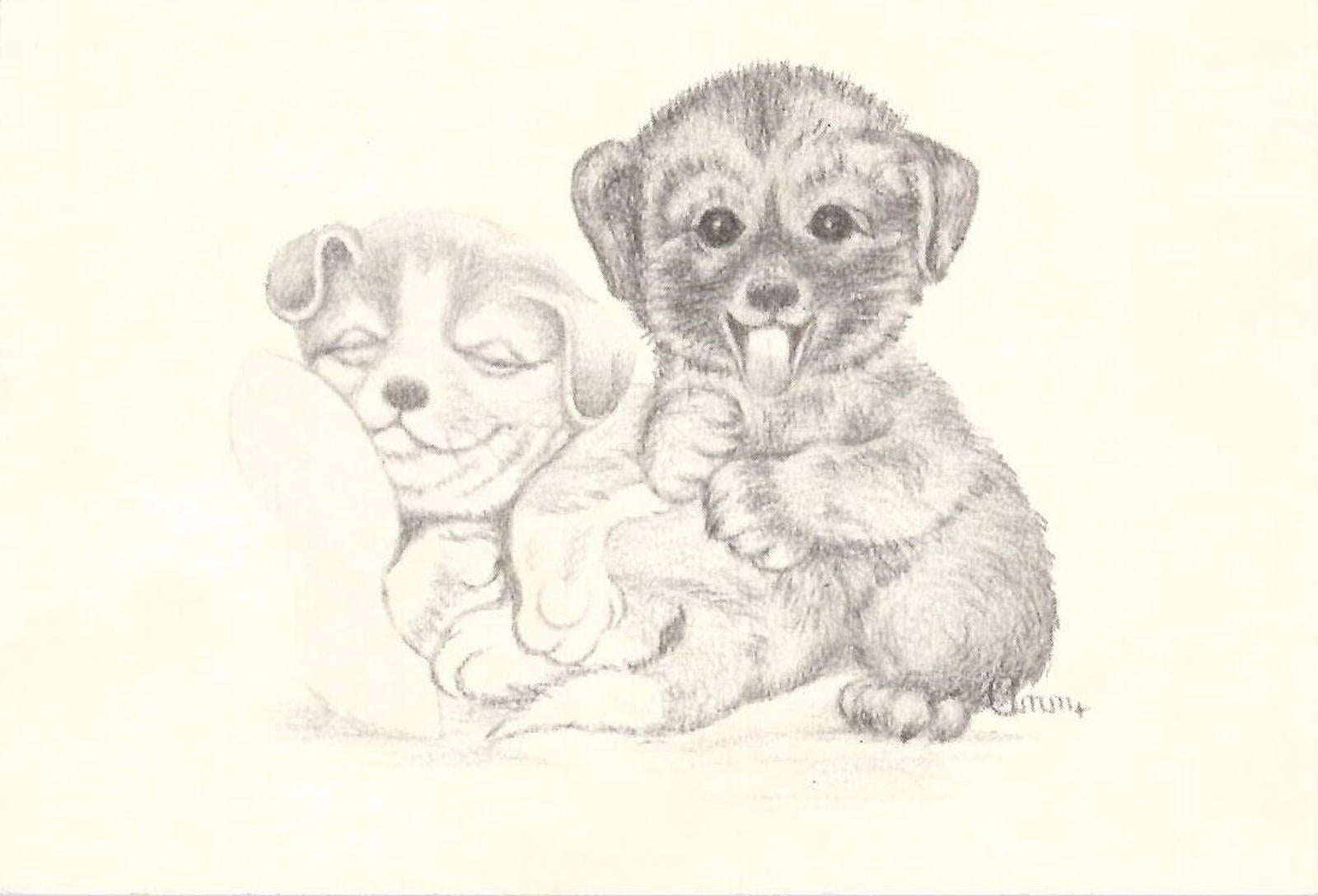 Postcard Drawn Two Puppies Art Reprint Ann Adams Polio Patient Signed