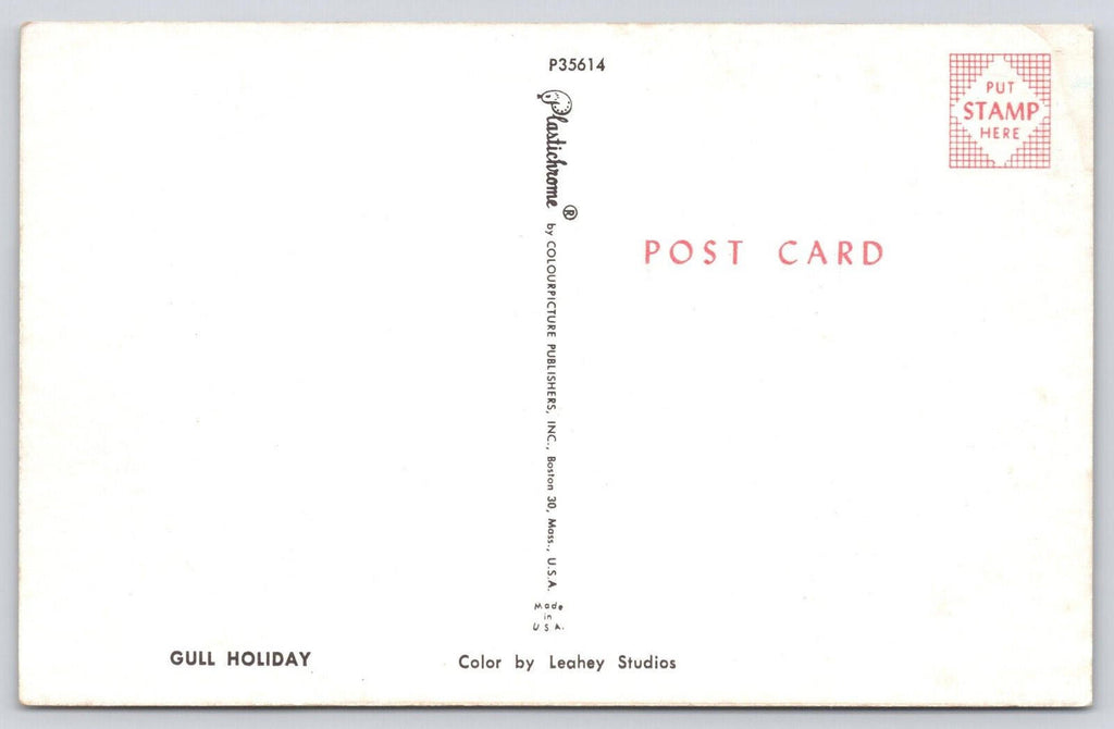 Postcard Gull Holiday P35614 Colourpicture Publishers Inc Boston Mass UNP