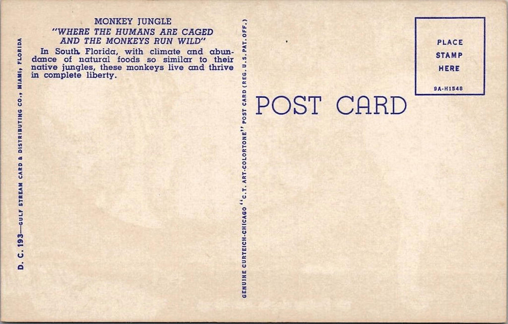 The Monkey Jungle near Miami Curteich Colortone South Florida UNP Postcard