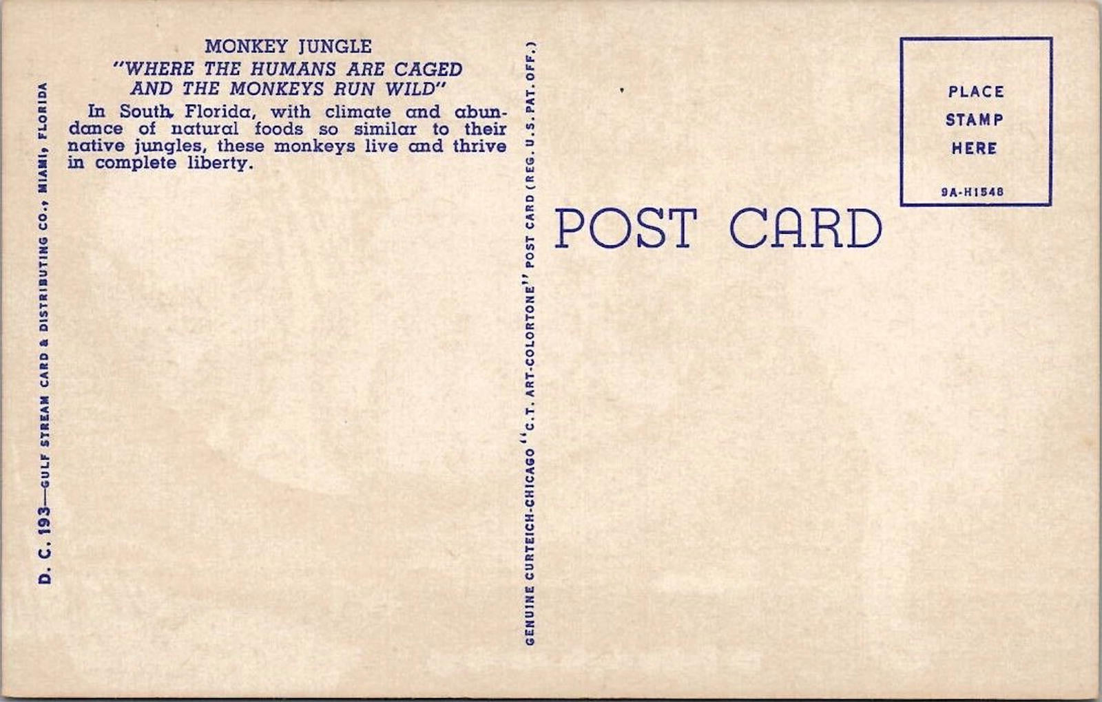 The Monkey Jungle near Miami Curteich Colortone South Florida UNP Postcard