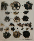 Floral Layering Clear Stamp Set for Crafting and Scrapbooking