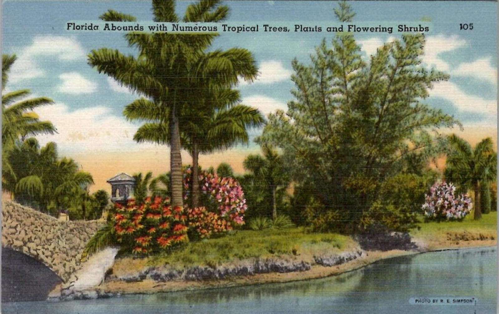 Postcard Florida Abounds with Numerous Tropical Trees Plants Flowering Shrubs UN