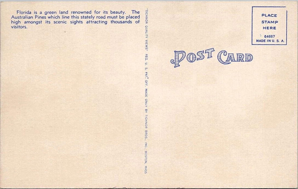 Postcard One of the Beautiful Scenic Streets of Florida 175 UNP Linen Tichnor