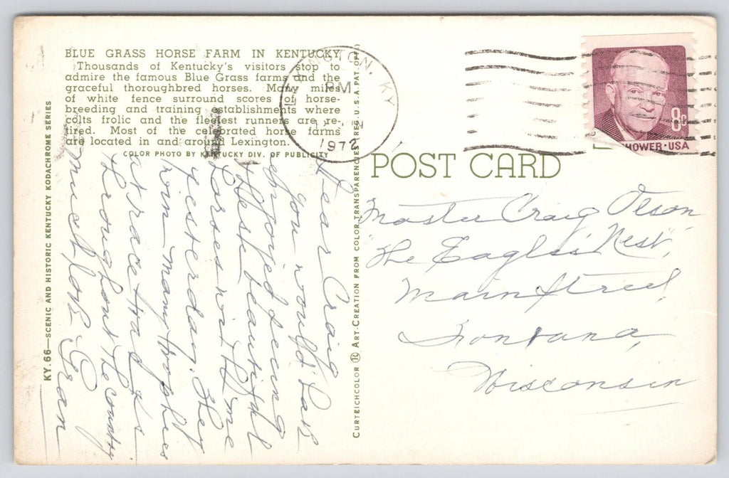 Postcard Kentucky's World Famous Thoroughbreds Blue Grass Horse Farm 1972