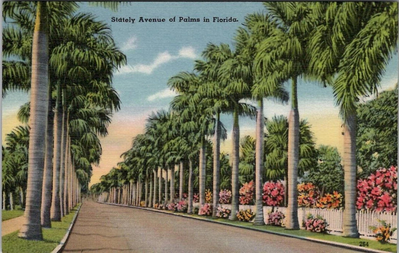 Postcard Stately Avenue of Palms in Florida UNP Linen Tichnor Tropical