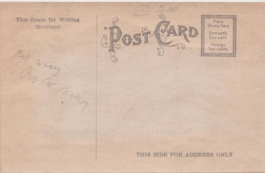 Antique Embossed Birthday Greeting Postcard applied Fabric Pink Rose layered