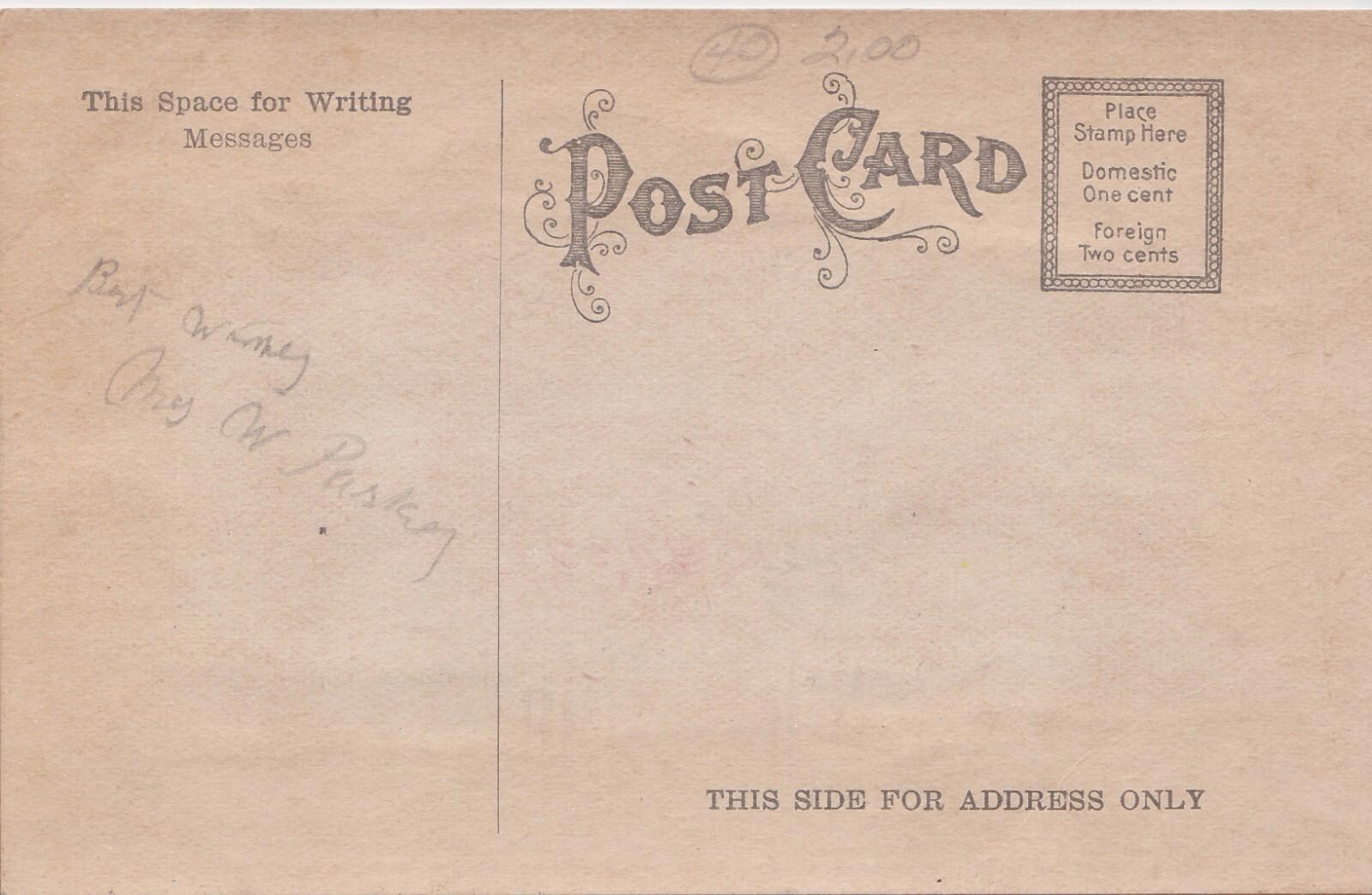 Antique Embossed Birthday Greeting Postcard applied Fabric Pink Rose layered