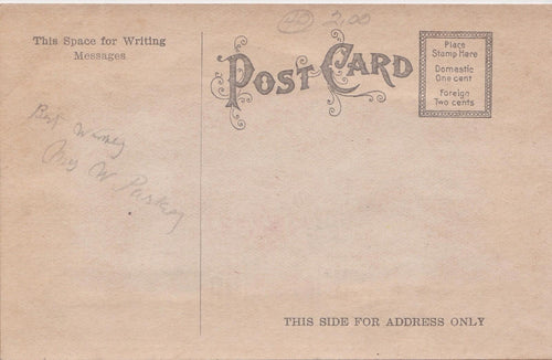 Antique Embossed Birthday Greeting Postcard applied Fabric Pink Rose layered