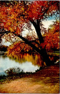 Postcard View Gram Autumn Color Baxtone Texas BLC-76 UNP